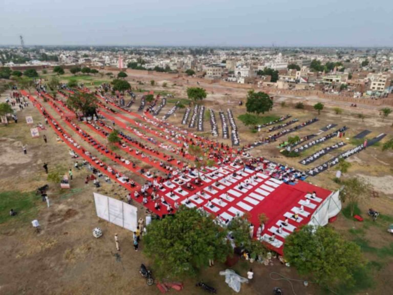 jpeg-optimizer_2 (2)