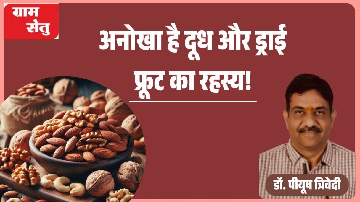 अनोखा है दूध और ड्राई फ्रूट का रहस्य!