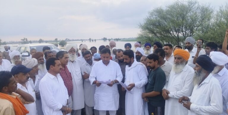 jpeg-optimizer_IMG_20250904_130941