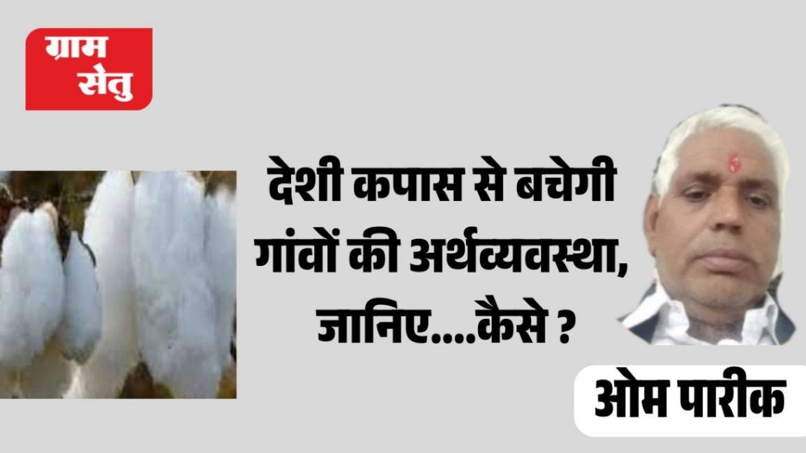 देशी कपास से बचेगी गांवों की अर्थव्यवस्था, जानिए….कैसे ?