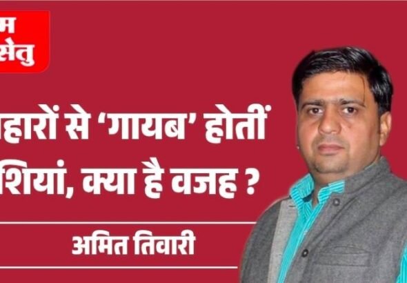 jpeg-optimizer_Screenshot_20260222_171520_Canva