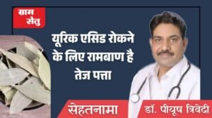 jpeg-optimizer_डॉ पीयूष त्रिवेदी_20260219_083628_0000