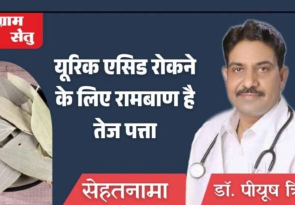 jpeg-optimizer_डॉ पीयूष त्रिवेदी_20260219_083628_0000