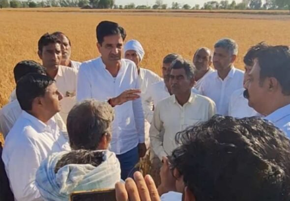 jpeg-optimizer_IMG-20260408-WA0045