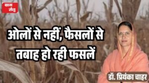 jpeg-optimizer_ओलों से नहीं, फैसलों से तबाह हो रही फसलें_20260408_100635_0000