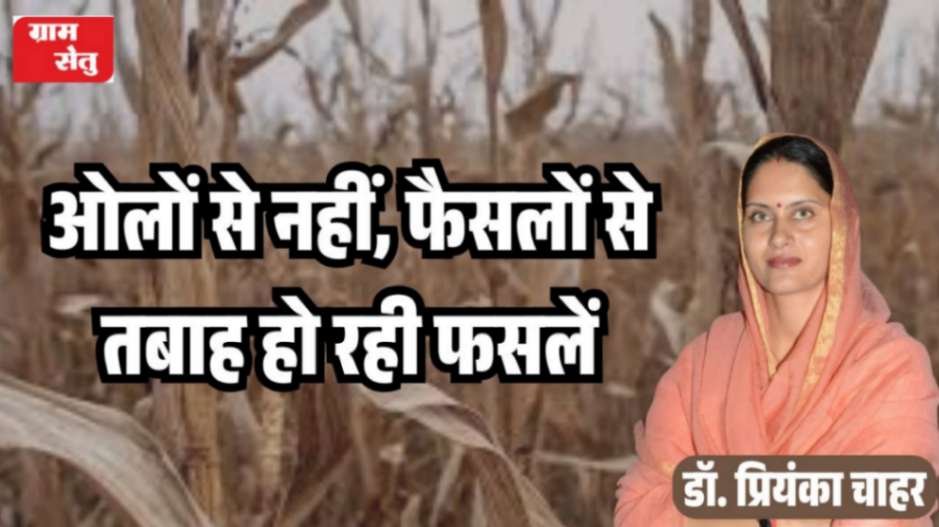 jpeg-optimizer_ओलों से नहीं, फैसलों से तबाह हो रही फसलें_20260408_100635_0000